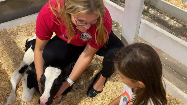 Fabius-Pompey junior is Onondaga County's Dairy Ambassador - Vimarsana News