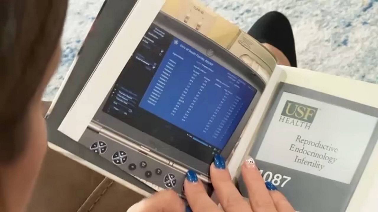 IVF’s impact on voters ahead of election