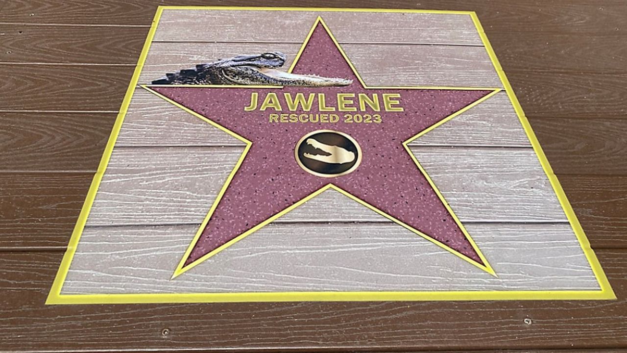 5 Things You Should Know About Gatorland’s Alligator Walk of Fame