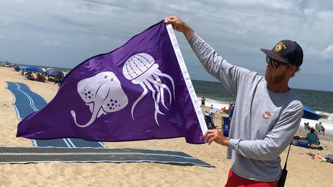 Jellyfish flag