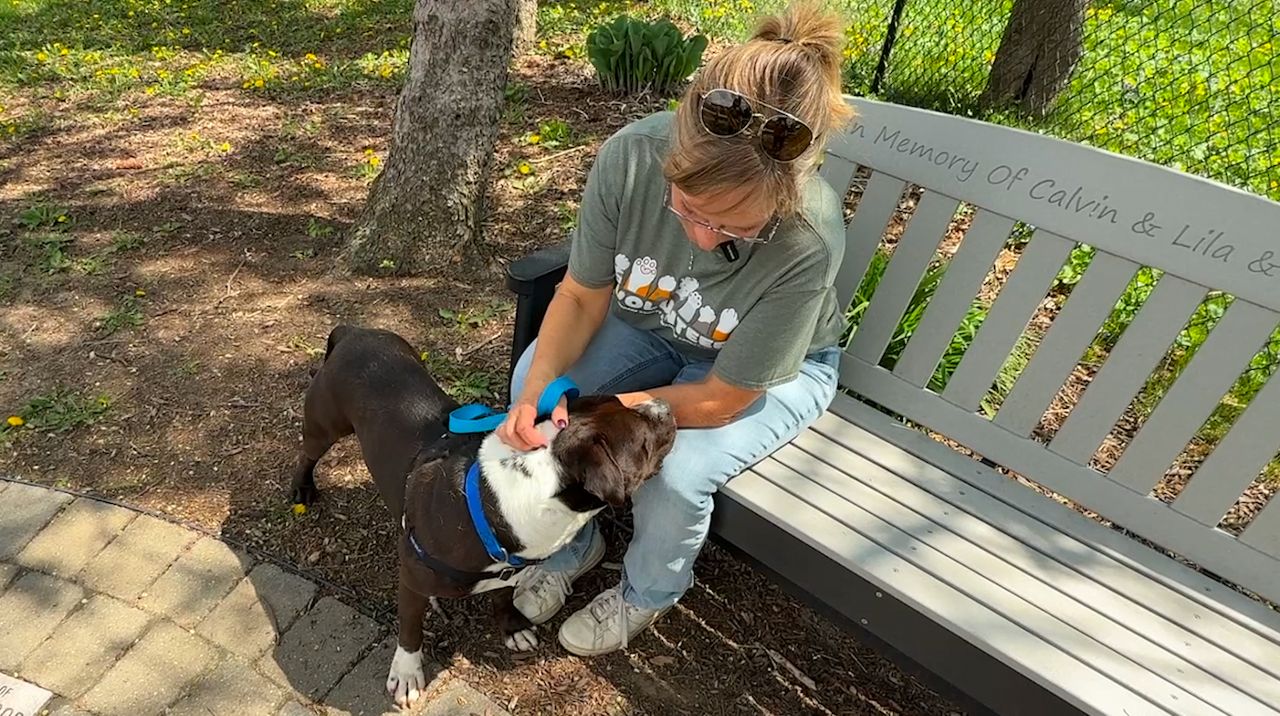 Volunteering at the Humane Society of Jefferson County is a form of therapy for Jill Freiermuth. (Abbey Taylor/Spectrum News 1)