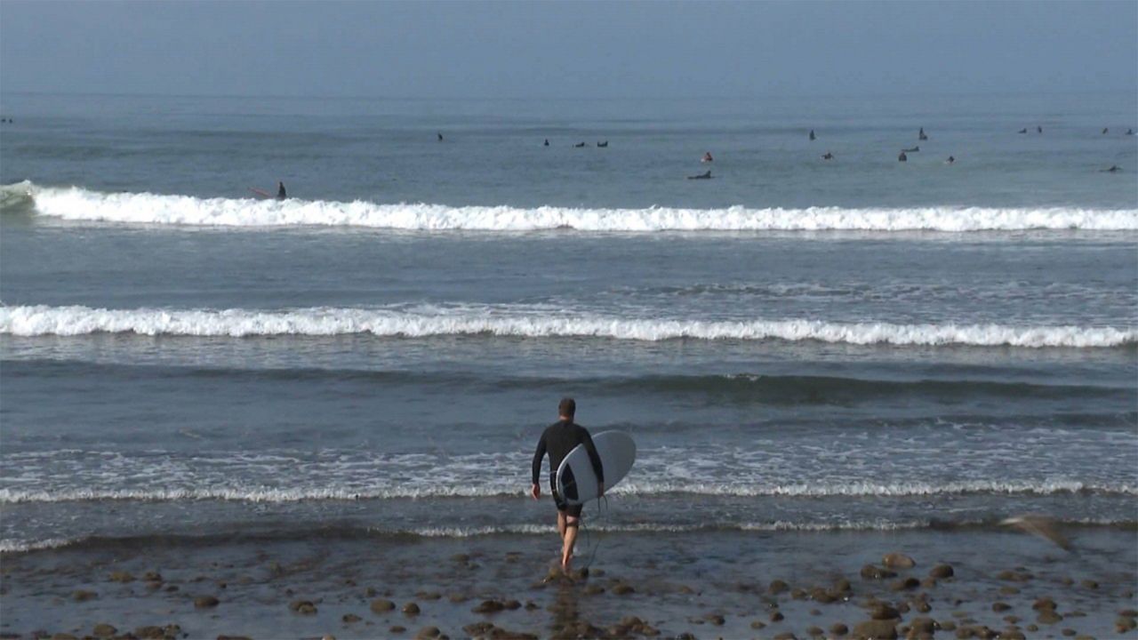 Southern California surfers dominated waves at home and abroad in 2019 –  Orange County Register