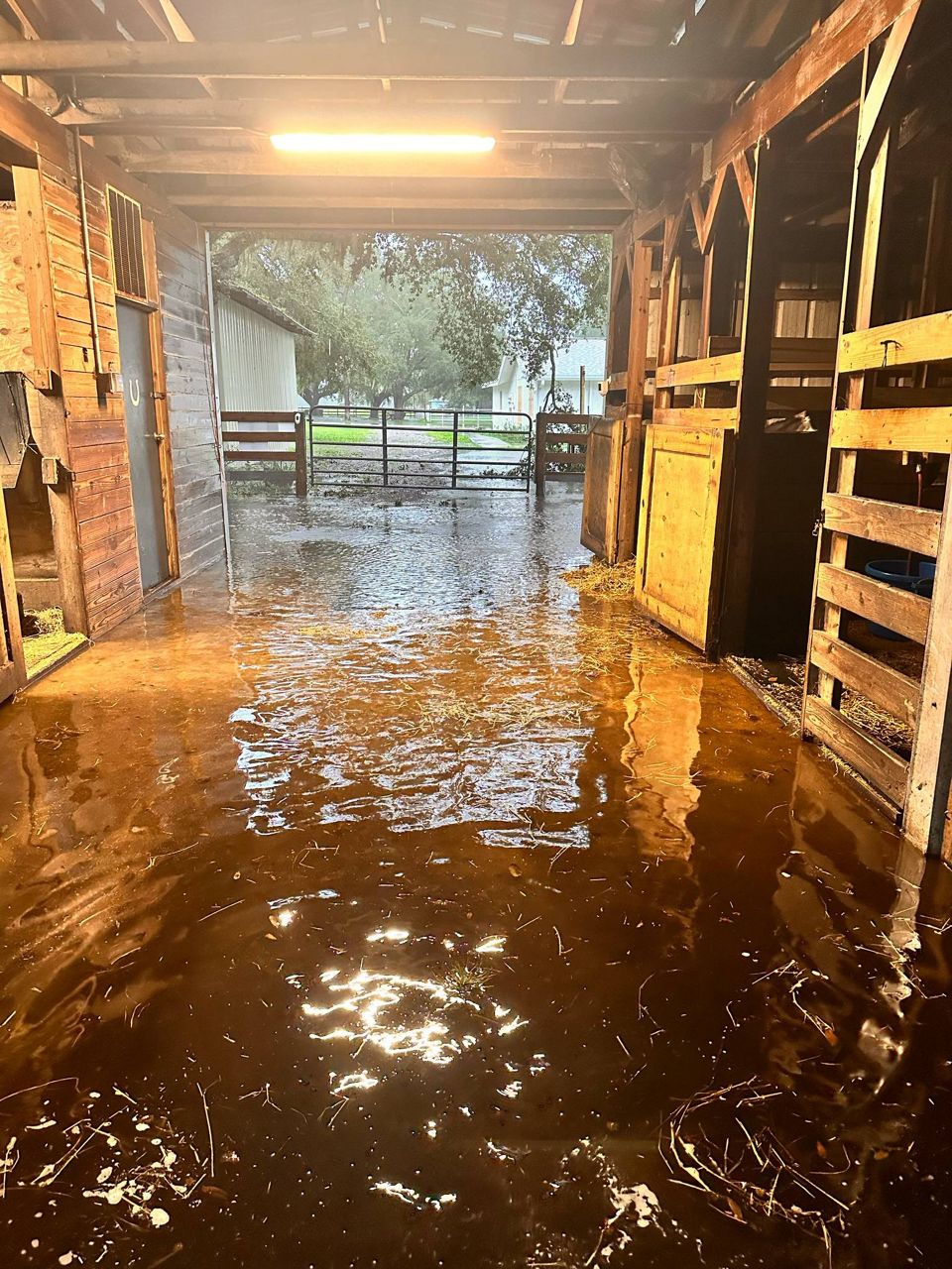 Bradley Anderson's property flooded property. (Courtesy: Bradley Anderson)
