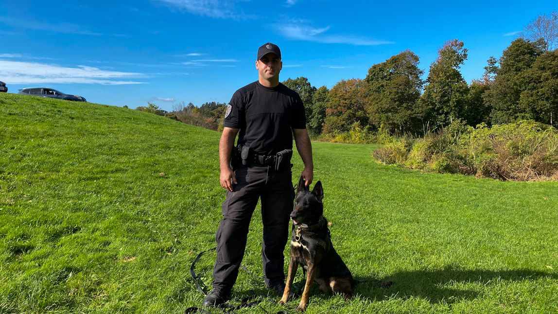 WPD looks to acquire K9s as COVID19 restrictions loosen