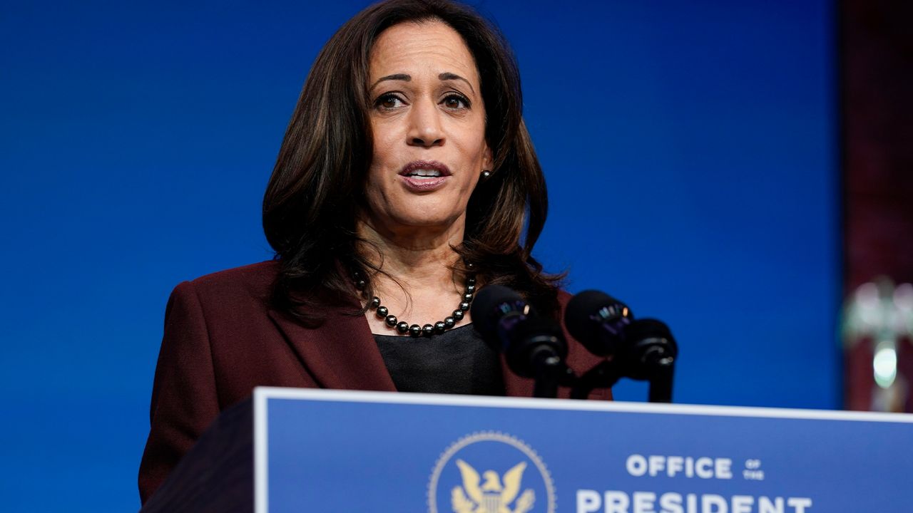 Survey Reveals Demographics of Who Might Fill Harris' Senate Seat