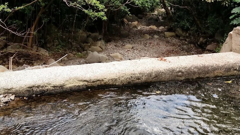 A photo of the diversion in Kauaula Stream from 2017 from the book "Water and Power in West Maui" by Jonathan Scheuer and Bianca K. Isaki. (Photo courtesy of Bianca K. Isaki)