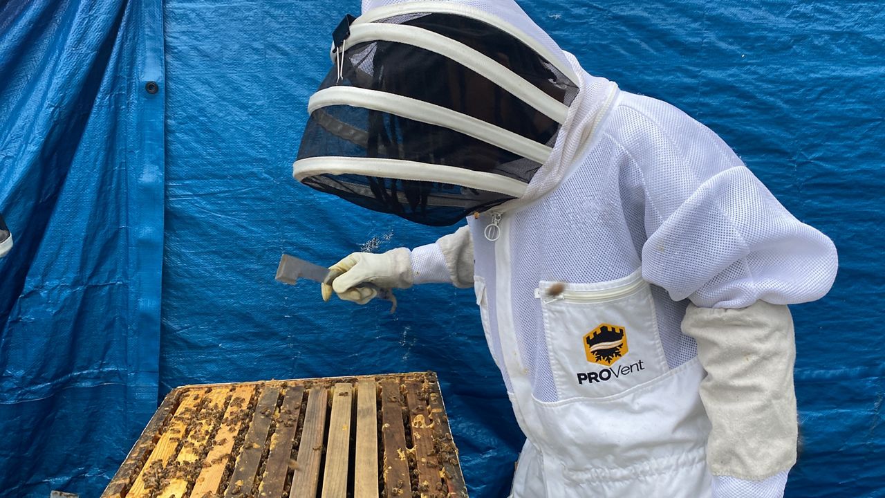 Kentucky teen beekeeper selected as Dream Big finalist