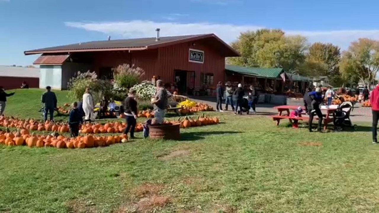 Kelly's Farm Market Serving Up Hot Fried Cakes