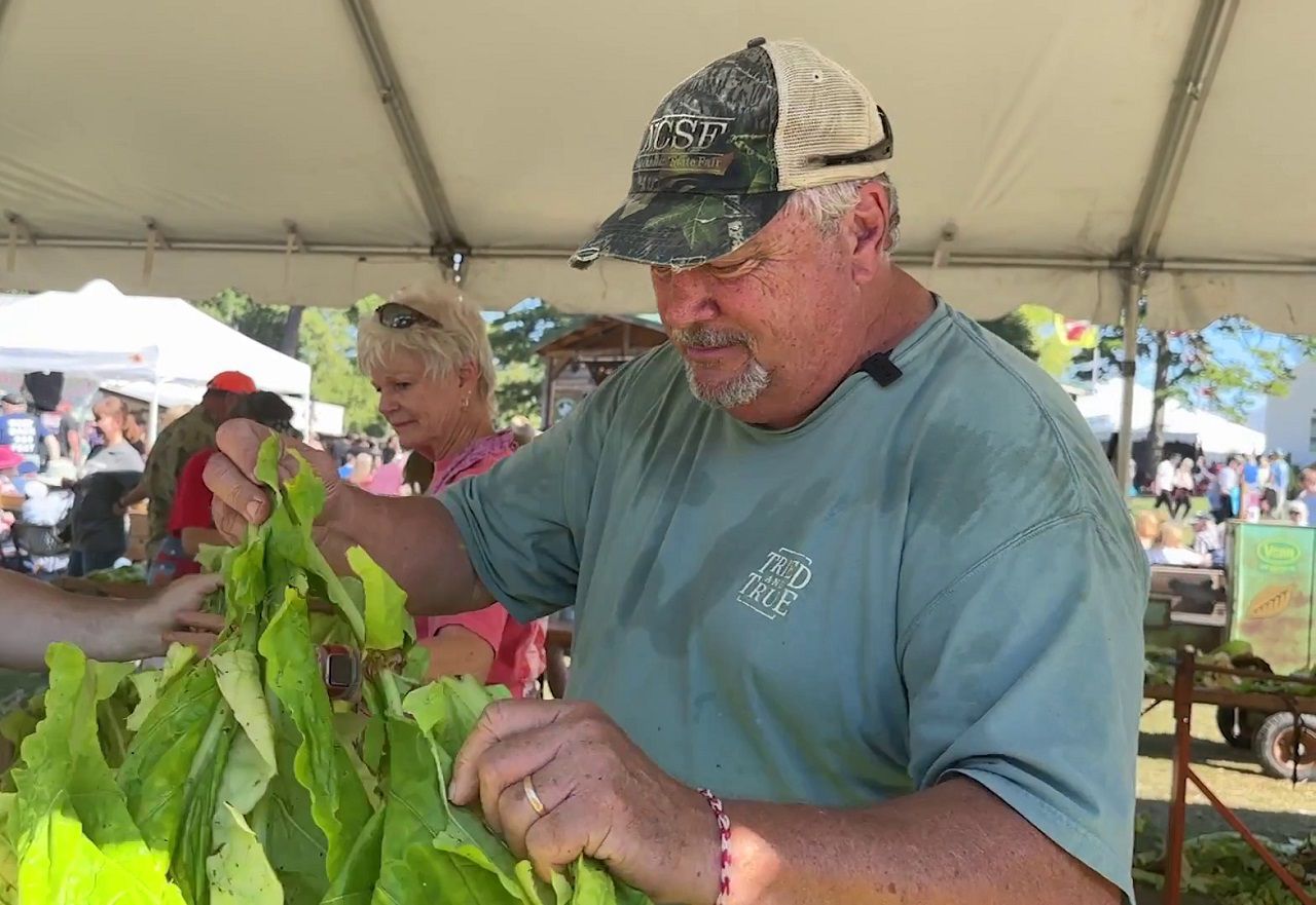 Ken Jones strings tobacco at the N.C. State Fair in Raleigh. Jones and his wife are nine-time tobacco-stringing champions. (Spectrum News 1/Jenna Rae Gaertner)