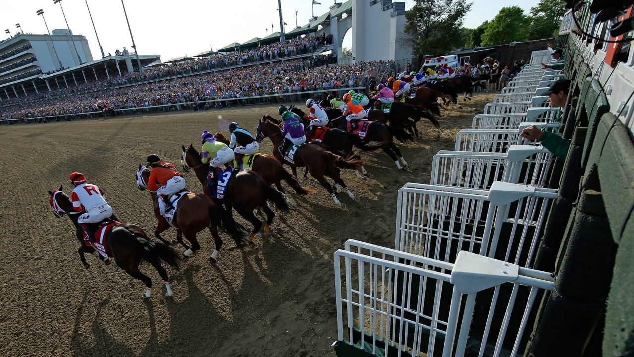 derby horses breaking from the gate