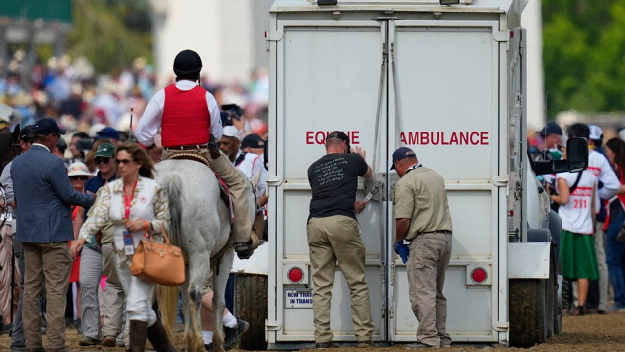 Seven horses died during Kentucky Derby week at Churchill Downs. (AP)