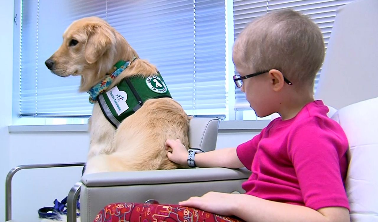 Kid The Dog Makes Days Brighter at Children's Hospital