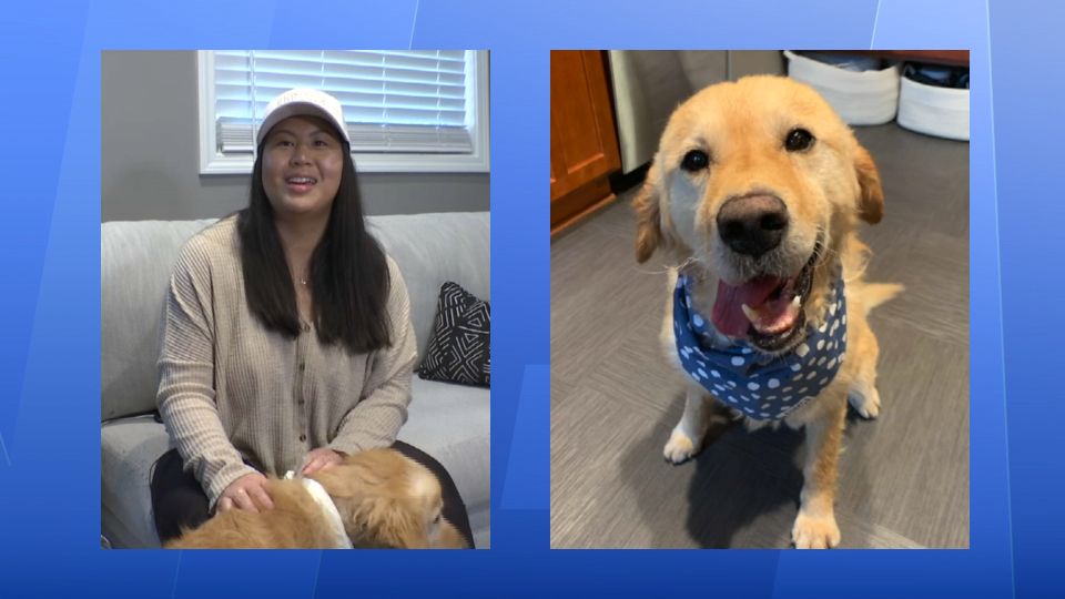 Rochester woman adopted from China adopts South Korean dog - Vimarsana News