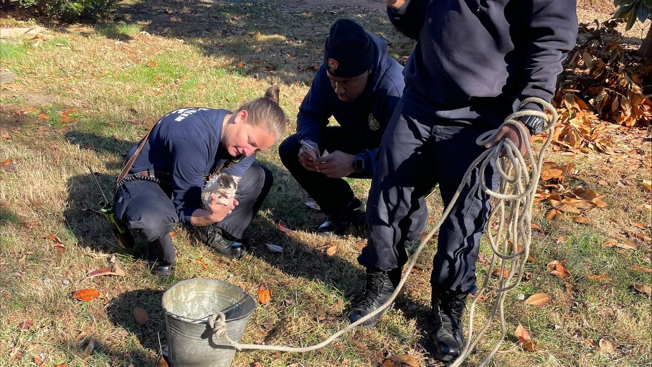 Winston-Salem firefighters and Forsyth County deputies rescued a kitten from the bottom of a 40-foot well.