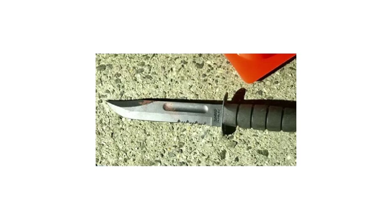 NYPD: Knife-wielding man fatally shot by police in the Bronx