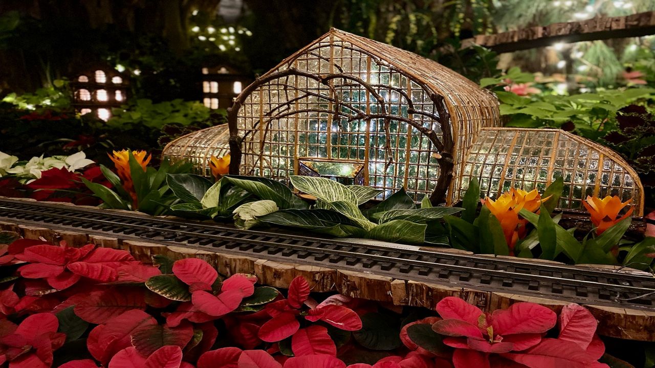 Krohn Conservatory Christmas 2022 Krohn Conservatory Comes To Life For Holiday Season