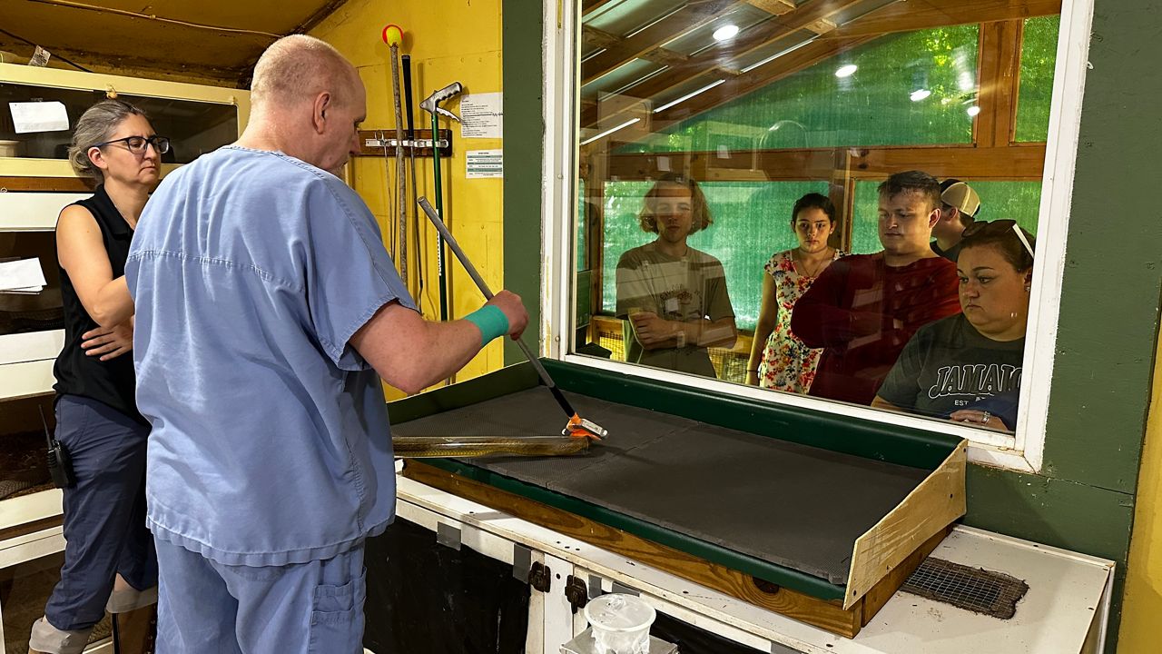 Ky. Reptile Zoo owner isn't letting latest bite stop him
