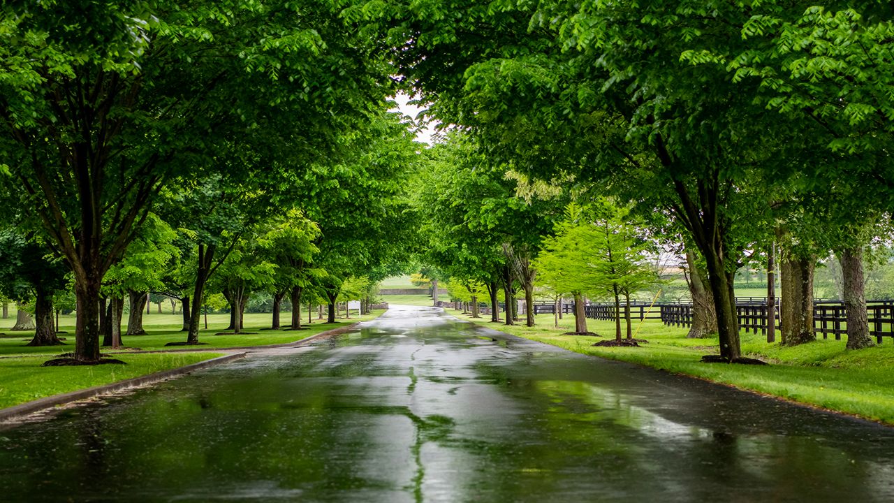 June has been wet. How is Kentucky doing compared to normal? - Vimarsana News