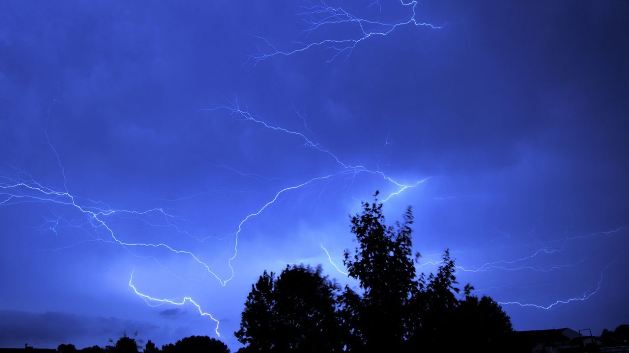 Trees against lightning in the background. (Spectrum File)