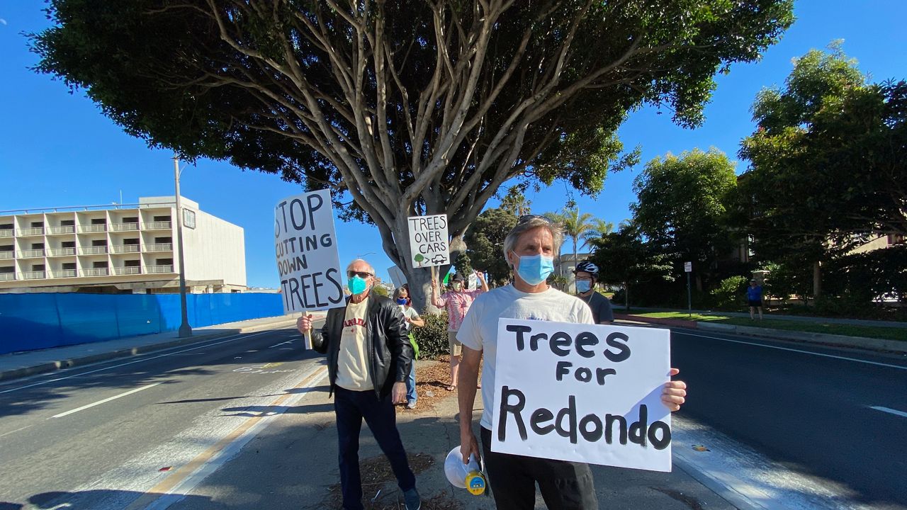 Redondo Beach Mayor Bill Brand, right, protests the removal of a tree from a Torrance median. (Spectrum News/David Mendez)