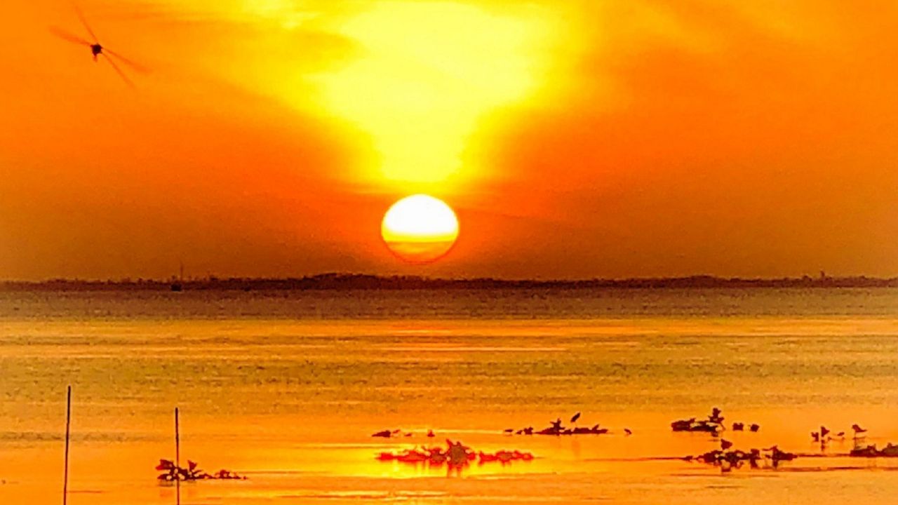 (Sent via Spectrum News 13 app) Sunset off Lake Apopka in Orange County Friday. (Sherry Straus, Viewer)