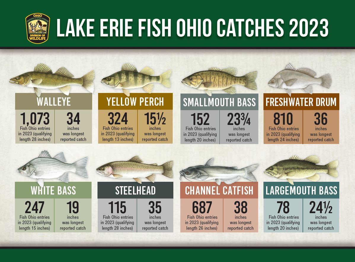 Lake Erie, Ohio anglers found success in 2023