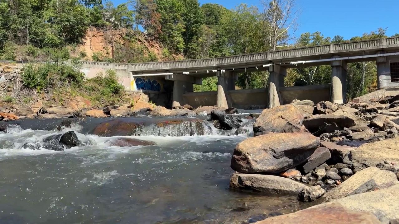 Two new fish species pass through dam in Swannanoa River