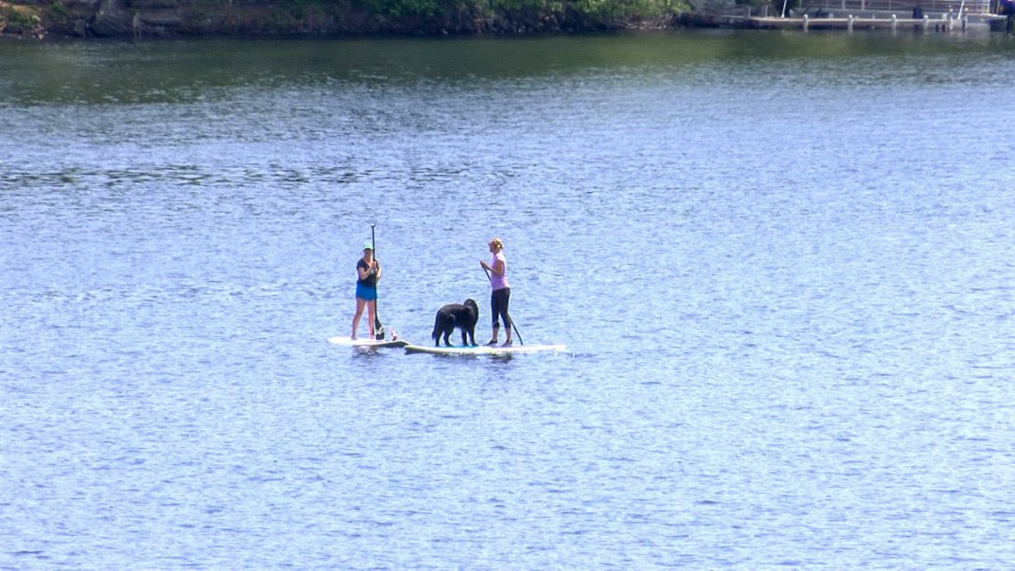 Two people and a dog were paddling on Lake Quinsigamond on Friday. 