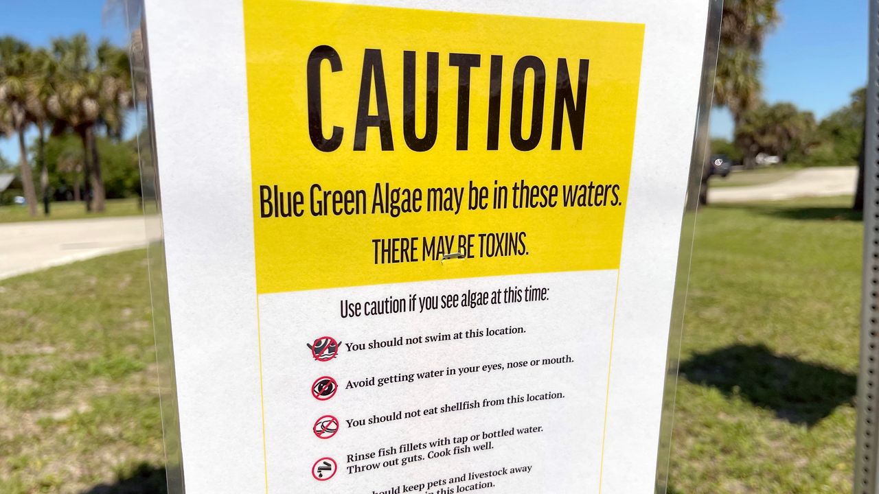 A caution sign at Lake Washington in Brevard County warns residents to stay clear of the water, which may be contaminated with blue-green algae. (Spectrum News 13/Greg Pallone)