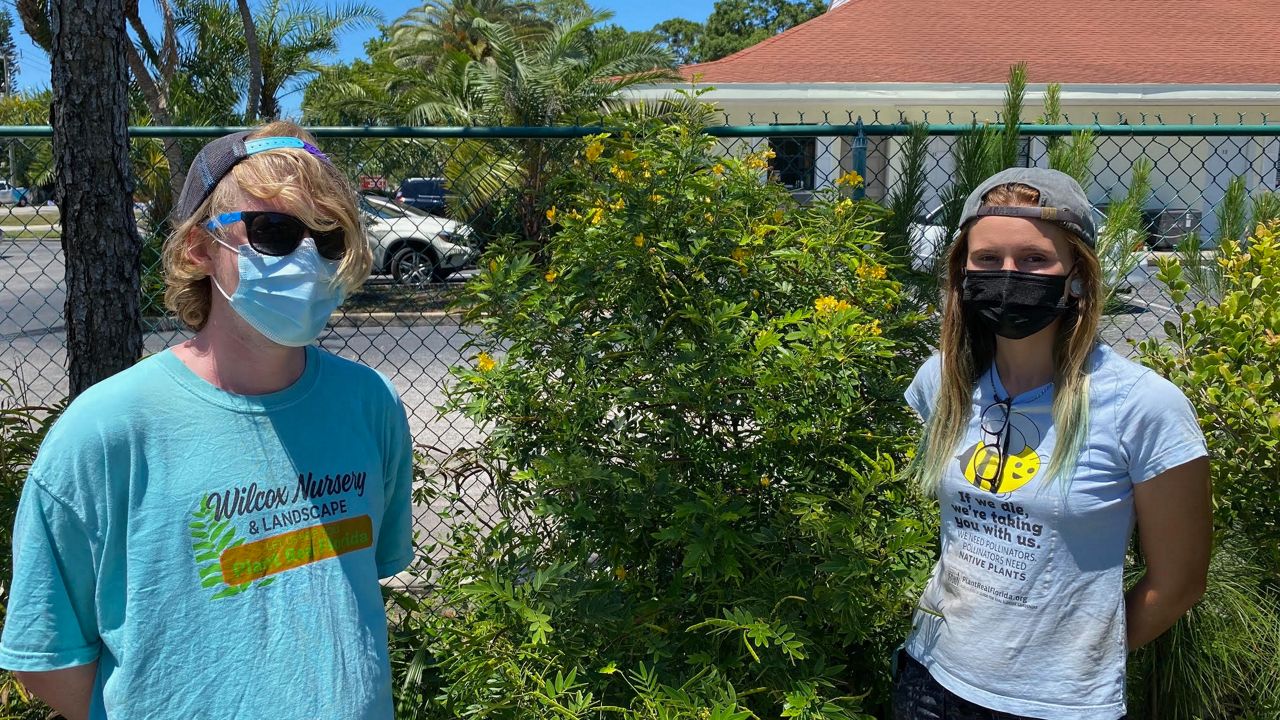 Tampa Bay Offers Resources For Florida Friendly Landscapes