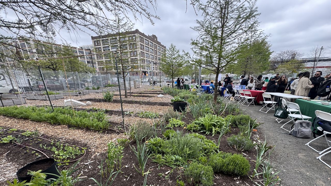 LaGuardia Community College farm grows food used by students