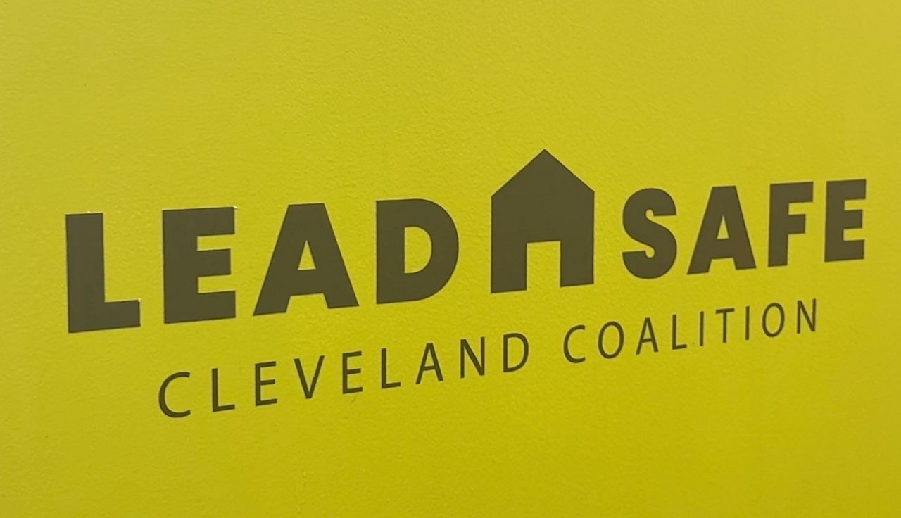 Local organizations work to help with lead exposure