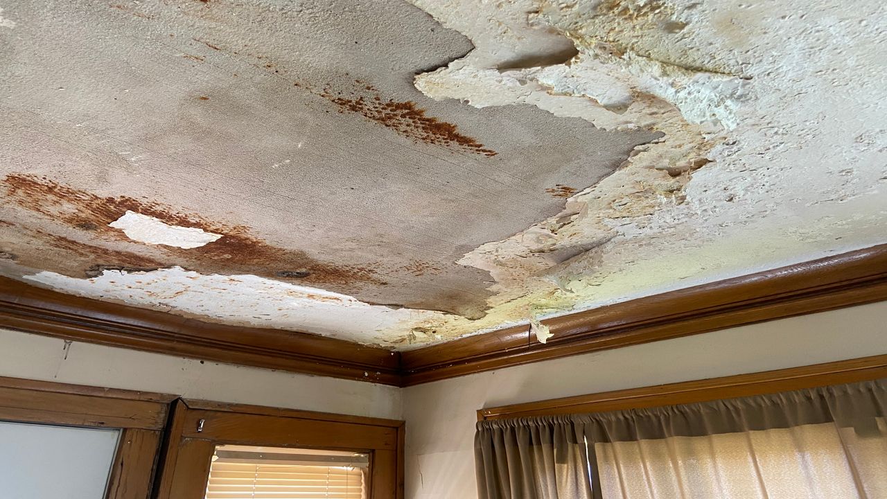 A ceiling covered in lead paint. (File)