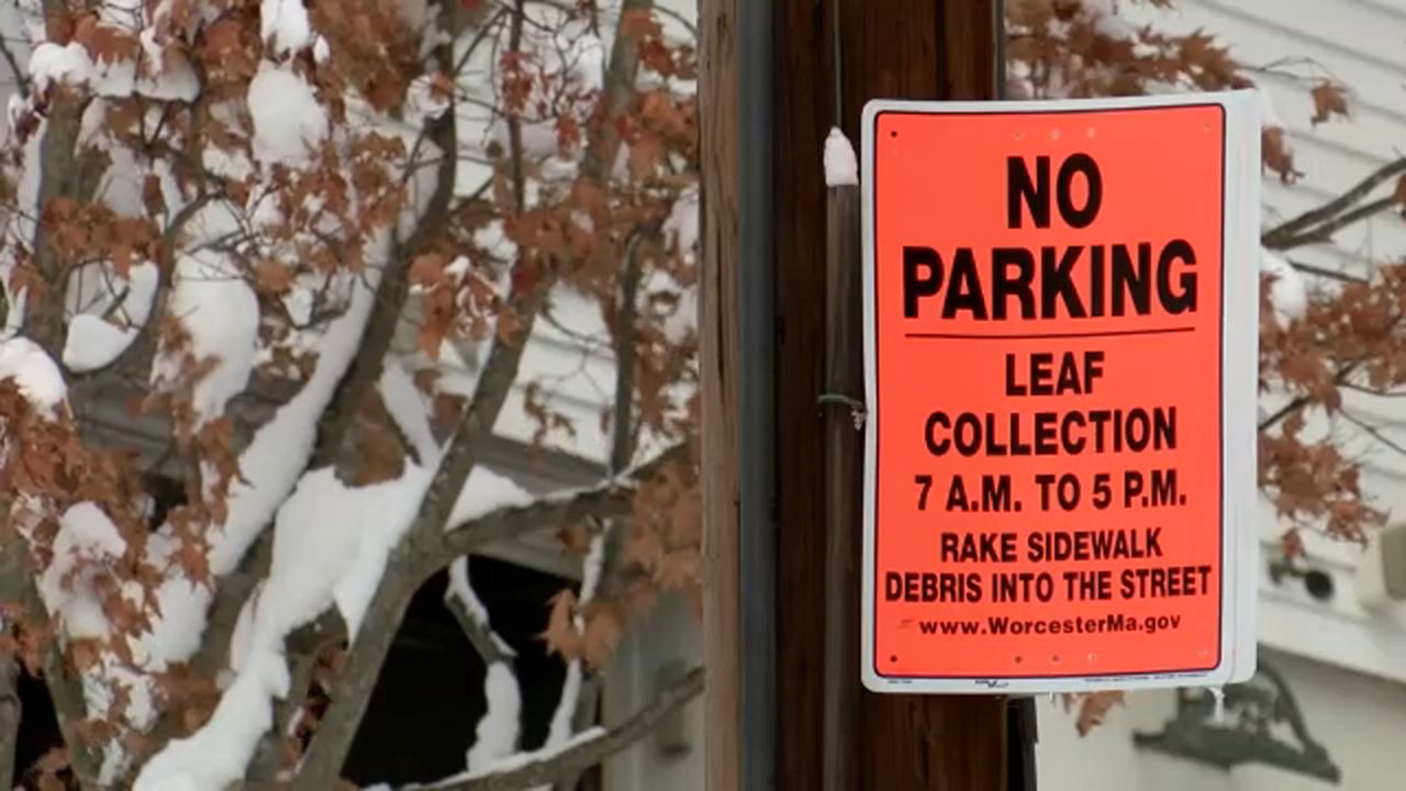 Spring Leaf PickUp in Worcester