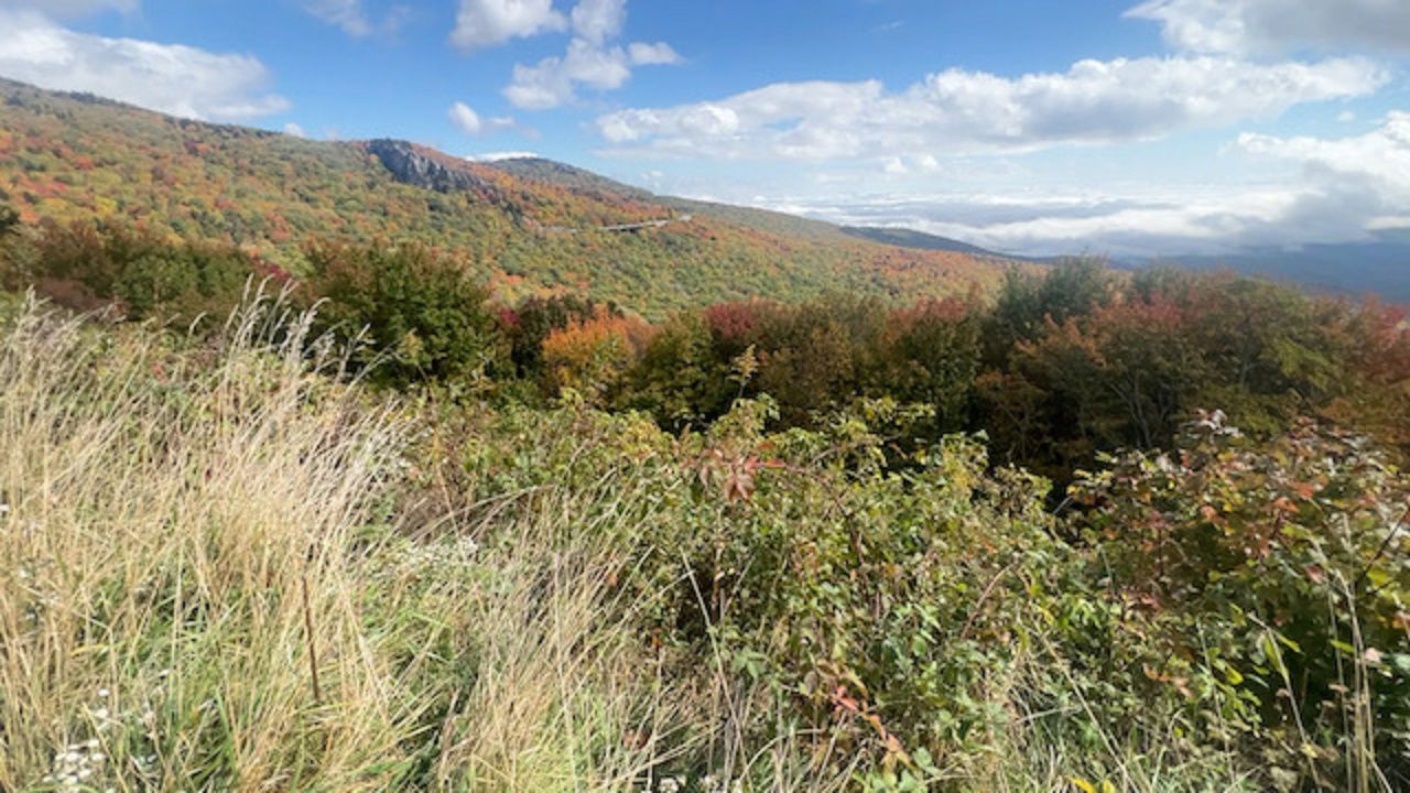 Fall color is in full swing in the mountains