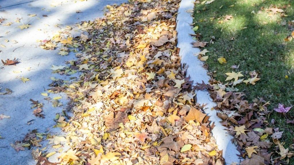 Fall leaf collection will start on Monday, Nov. 1