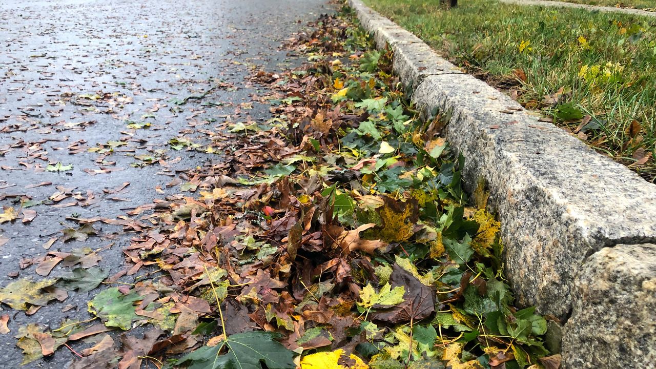 Fall leaf collection starts Monday in Worcester