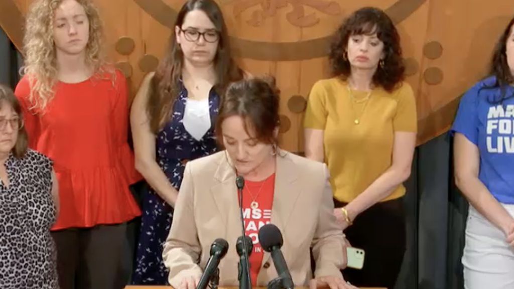 Volunteer Robin Breed of Moms Demand Action speaks to reporters about gun legislation this session. (Courtesy of House Media Services)