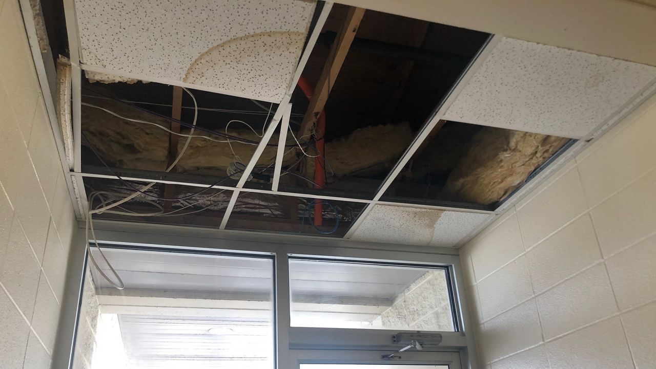 Lexington Humane Society in need of donations