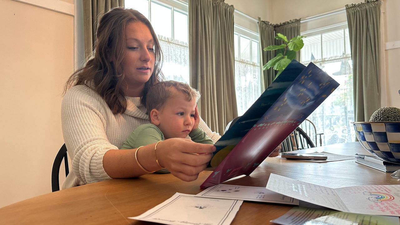 Effort to ban Lexington pet stores from selling dogs, cats