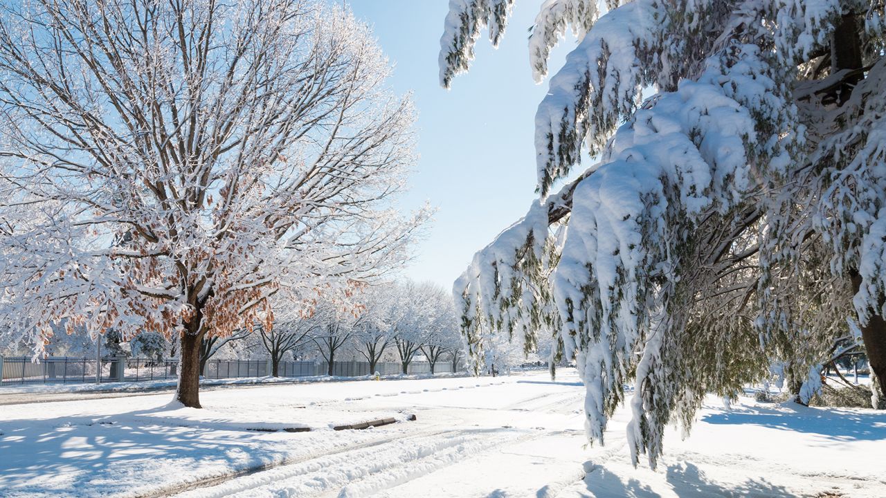 Dreaming of a White Christmas, Kentucky?