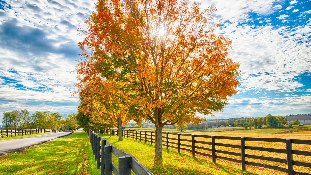 Typical peak fall colors in Kentucky