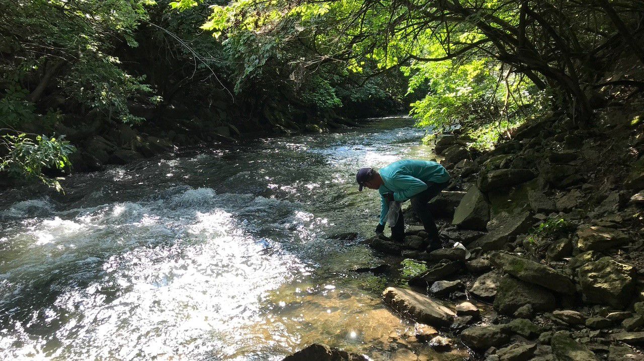 City of Lexington taps community for water quality training