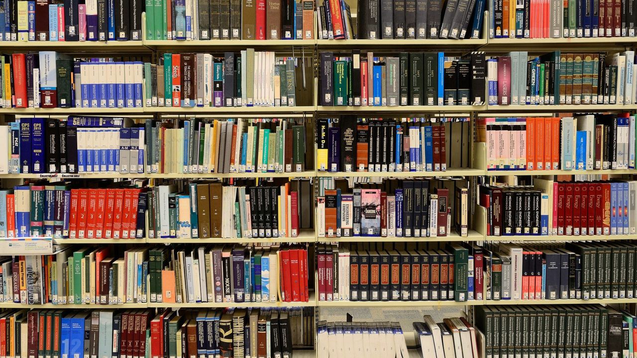 Stock image of shelving with library books. (Pixabay)