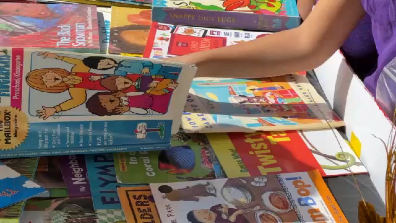 Libros actividad ahorro