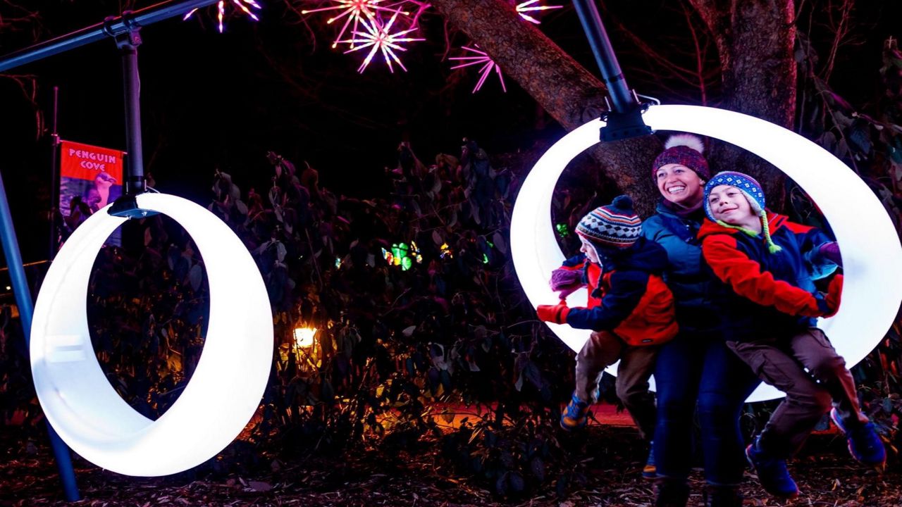 Wild Lights returns to Louisville Zoo