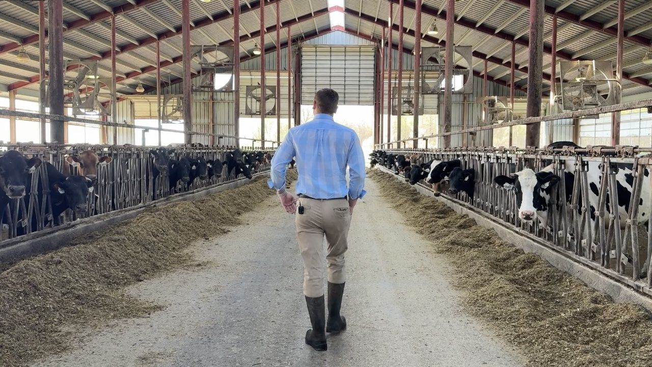 Farmers survey aims to shape Livingston County's farmland master plan update