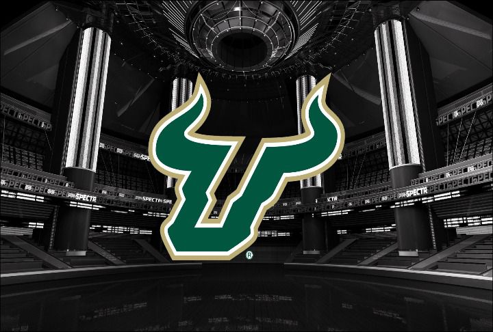 USF Bulls.