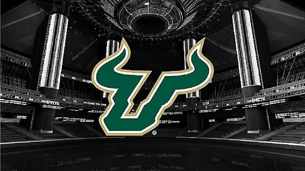 usf football logo small