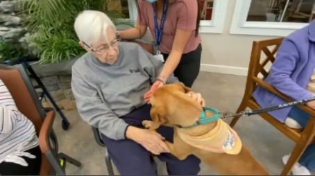 Borer Memory Care Residents Make Dog Snacks